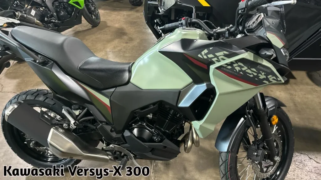 Kawasaki Versys-X 300